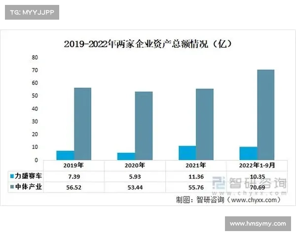 赛事类型企业-什么是赛事经营的主体 赛事类型企业-什么是赛事经营的主体